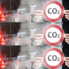Lutte contre la pollution de l’air - Canopée 12