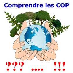 Comprendre les COP