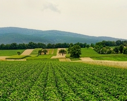 Plan Alimentaire de Territoire – Aubrac