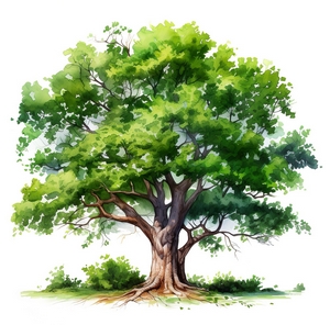 Foret_Jardin_03
