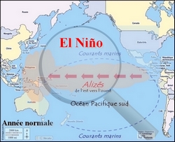 El Niño, un phénomène climatique qui inquiète !